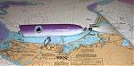 Click image for larger version

Name:	BIG WOOD PURPLE WHITE POPPER.jpg
Views:	262
Size:	54.8 KB
ID:	21057