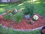 Click image for larger version

Name:	flowerbed2.jpg
Views:	142
Size:	272.3 KB
ID:	35006