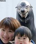 Click image for larger version

Name:	scary-seal.jpg
Views:	1147
Size:	20.5 KB
ID:	36215