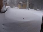 Click image for larger version

Name:	blizzard 2.jpg
Views:	238
Size:	98.8 KB
ID:	3662