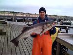 Click image for larger version
Name: fish.jpg
Views: 199
Size: 155.2 KB
ID: 36979