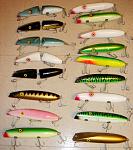 Click image for larger version

Name:	Musso DARTERS - BIG GROUP-RARE COLORS.jpg
Views:	385
Size:	74.4 KB
ID:	37291