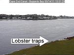 Click image for larger version

Name:	traps 2.jpg
Views:	272
Size:	54.4 KB
ID:	46768