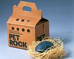 Click image for larger version

Name:	petrock.jpg
Views:	480
Size:	29.8 KB
ID:	59974