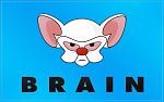 Click image for larger version

Name:	pinky-and-the-brain-flag-wallpaper-2560x1600-large2.jpg
Views:	581
Size:	107.1 KB
ID:	62708