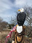 Click image for larger version

Name:	New Eagle.jpg
Views:	463
Size:	391.2 KB
ID:	67765