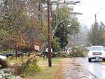 Click image for larger version

Name:	tree branch down.jpg
Views:	82
Size:	262.3 KB
ID:	68489