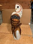 Click image for larger version

Name:	barn owl 1.jpg
Views:	49
Size:	115.4 KB
ID:	70232