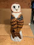 Click image for larger version

Name:	barn owl 2.jpg
Views:	66
Size:	110.0 KB
ID:	70233