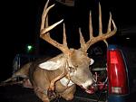 Click image for larger version

Name:	buck 2.jpg
Views:	176
Size:	24.0 KB
ID:	23986