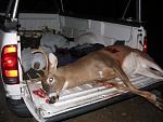 Click image for larger version

Name:	deer2.jpg
Views:	247
Size:	68.3 KB
ID:	41954