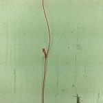 Click image for larger version
Name: image.jpeg
Views: 160
Size: 252.9 KB
ID: 62827