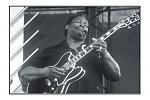 Click image for larger version

Name:	bbking.jpg
Views:	609
Size:	94.1 KB
ID:	30509