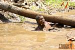 Click image for larger version

Name:	Mud tunnels 3.jpg
Views:	351
Size:	138.6 KB
ID:	51956
