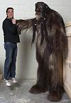 Click image for larger version

Name:	wookie.jpg
Views:	105
Size:	54.7 KB
ID:	32153