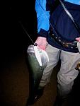 Click image for larger version

Name:	060109_cape_cod_surf_fishing_7.jpg
Views:	228
Size:	47.4 KB
ID:	36212
