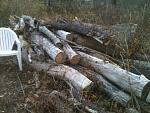 Click image for larger version

Name:	firewood.JPG
Views:	256
Size:	152.0 KB
ID:	49402