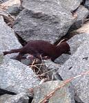 Click image for larger version
Name: catch.JPG
Views: 235
Size: 86.9 KB
ID: 56402