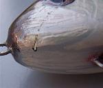 Click image for larger version
Name:	Web 100_1747.jpg
Views:	115
Size:	22.0 KB
ID:	36625