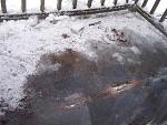 Click image for larger version
Name: Deck ice.jpg
Views: 189
Size: 32.3 KB
ID: 44301
