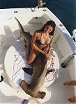 Click image for larger version

Name:	Girl on Shark.jpg
Views:	409
Size:	53.8 KB
ID:	20081
