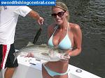 Click image for larger version

Name:	hot_girl_striper.jpg
Views:	7732
Size:	50.3 KB
ID:	44099