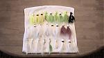 Click image for larger version

Name:	2 to 3 oz bucktails.jpg
Views:	144
Size:	80.7 KB
ID:	19097