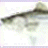 AnthonyN