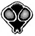 G Land's Avatar
