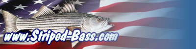 Striper Talk Striped Bass Fishing, Surfcasting, Boating