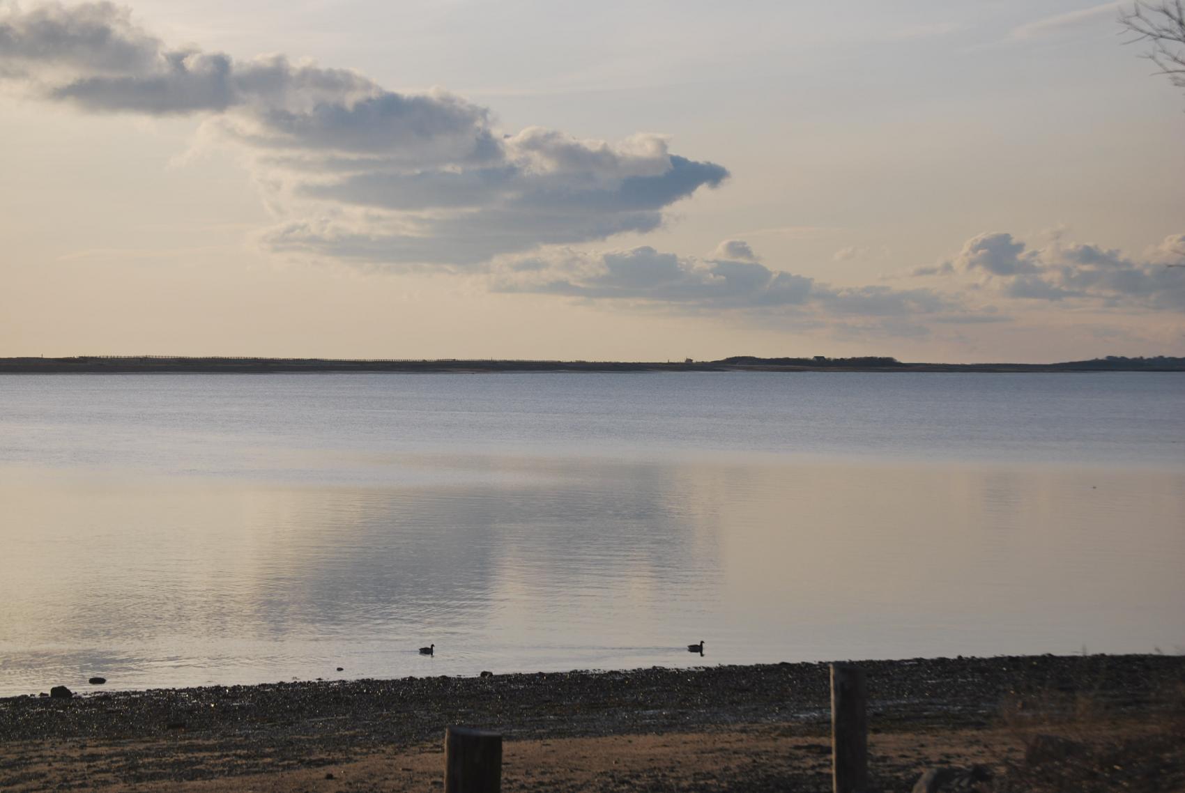 DSC 0271 duxbury bay