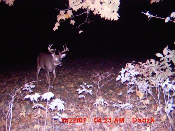 Game Cam