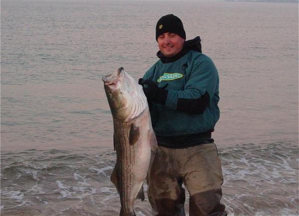 Late season Striper