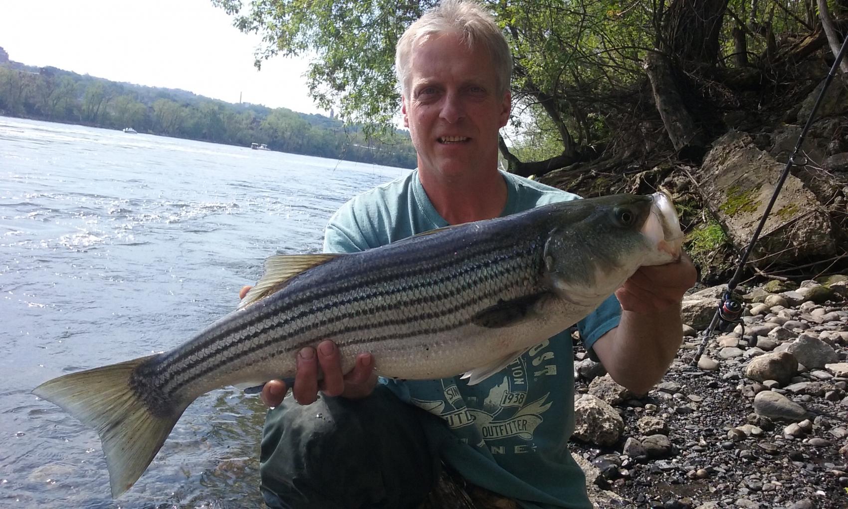 Spring Stripers Upper Hudson River