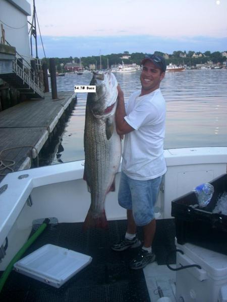 54.88 lb Striped Bass