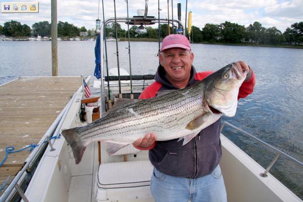 RB Bass