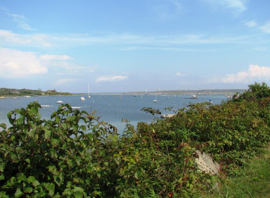 IMG 0029