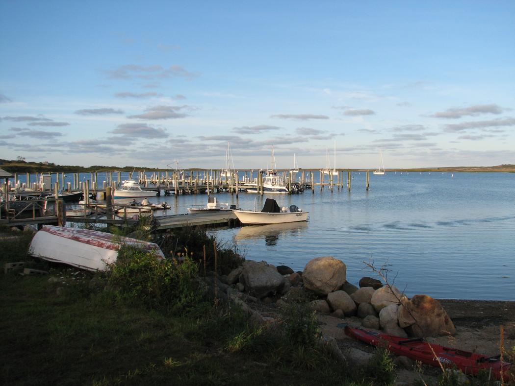 IMG 0084