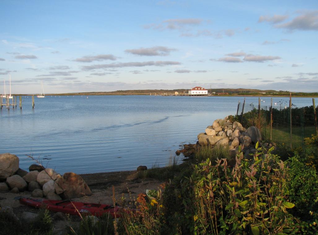 IMG 0085