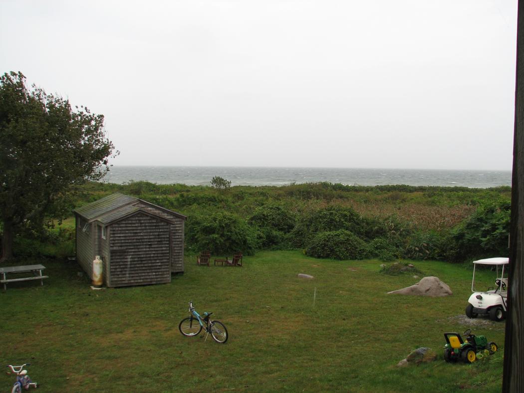 IMG 0095
