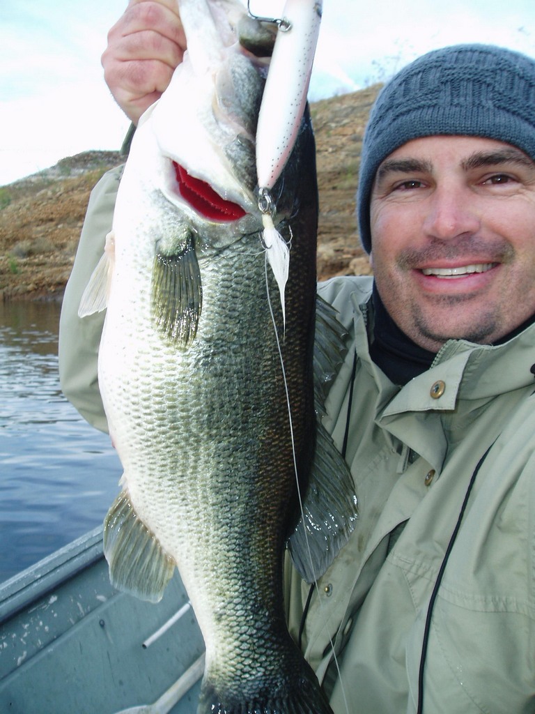 8.5 lbs dvl