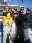 Tuna Charter