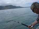 new zealand fishing