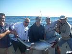 Tuna Charter