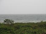 IMG 0096