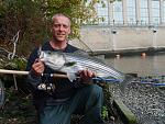 top water schoolies all day, Federal Dam, Troy,N.Y. on the Hudson River