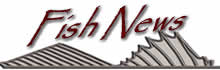 fishnews.jpg