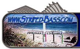 header_logo.jpg
