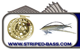 header_logo_fly.jpg