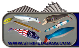 header_logo_plg.jpg